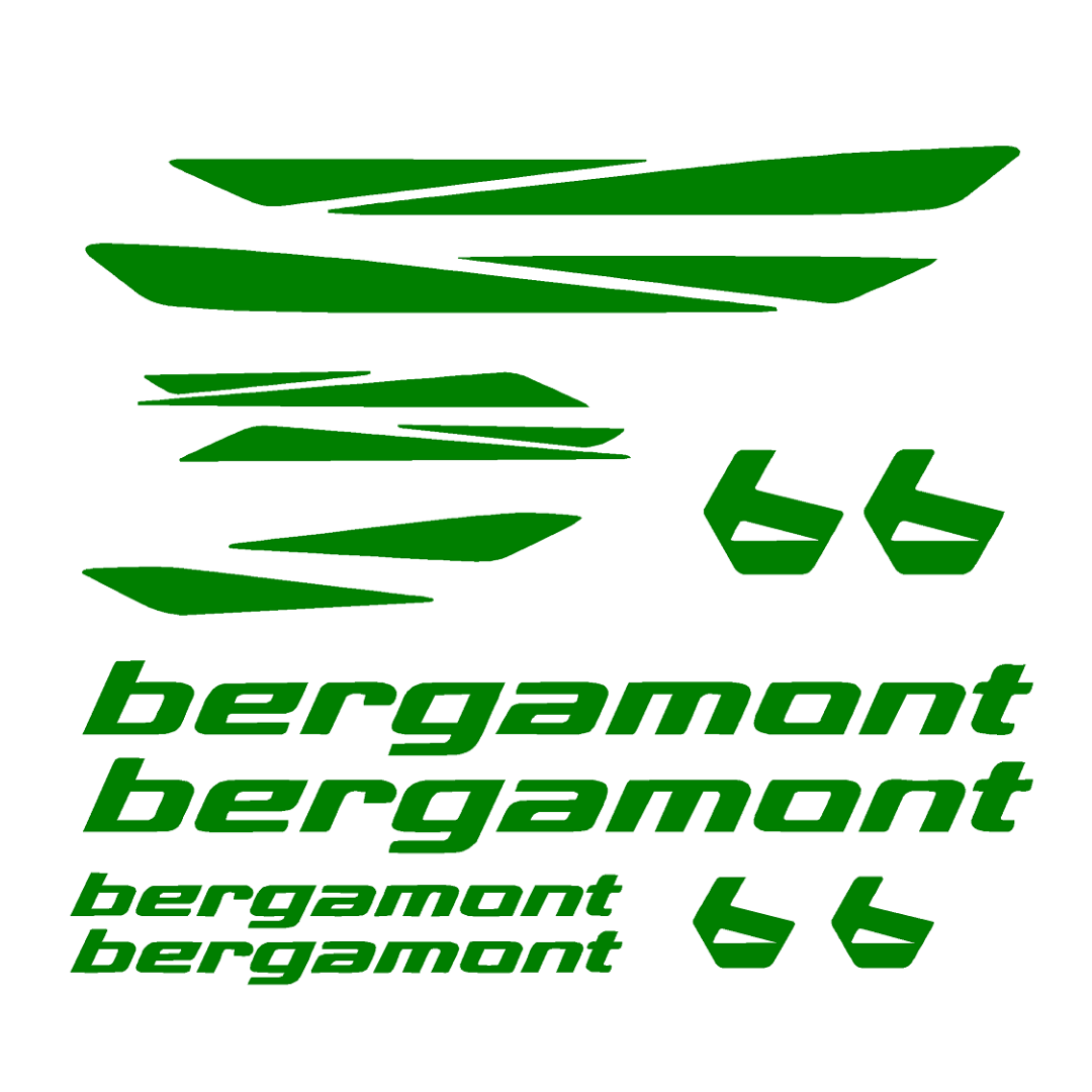 Bergamont Bicycle Stickers and Graphics for Cycle Body Mountain Bike Racing Combo Vinyl Die-Cut Decals
