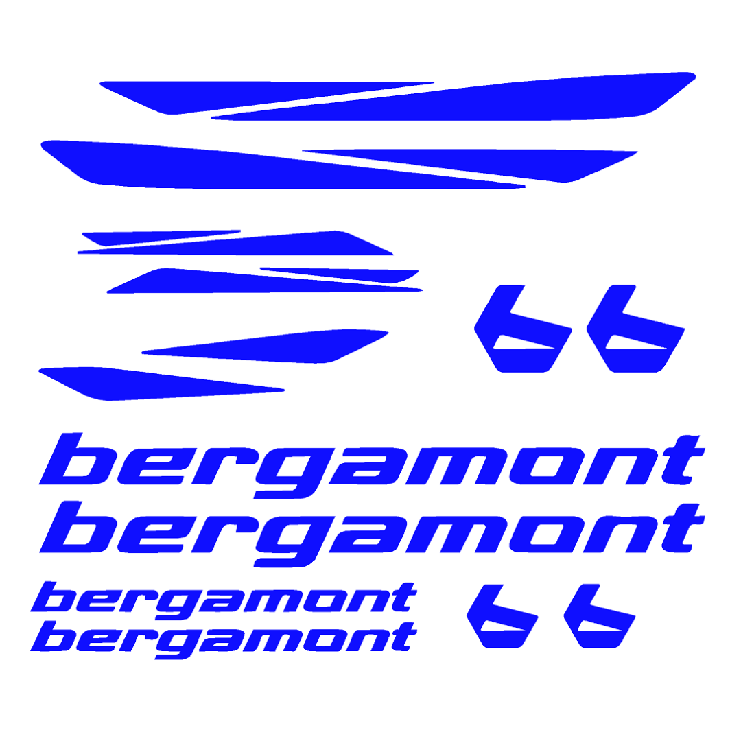 Bergamont Bicycle Stickers and Graphics for Cycle Body Mountain Bike Racing Combo Vinyl Die-Cut Decals