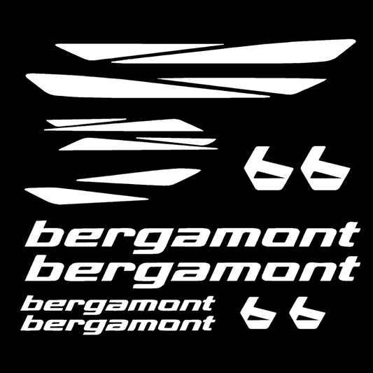Bergamont Bicycle Stickers and Graphics for Cycle Body Mountain Bike Racing Combo Vinyl Die-Cut Decals