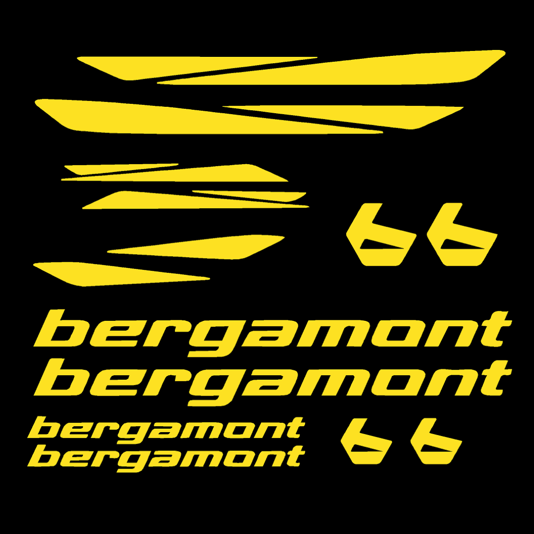 Bergamont Bicycle Stickers and Graphics for Cycle Body Mountain Bike Racing Combo Vinyl Die-Cut Decals