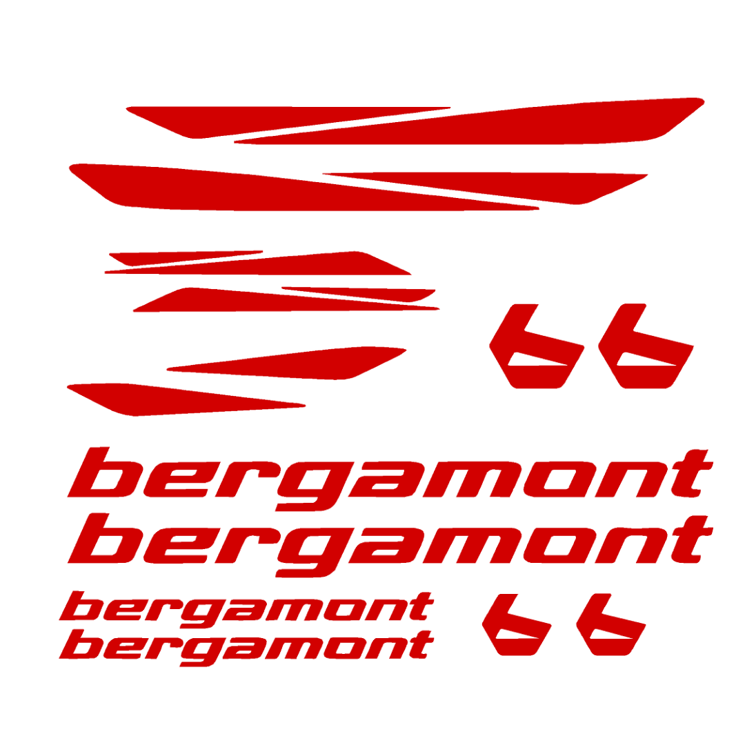 Bergamont Bicycle Stickers and Graphics for Cycle Body Mountain Bike Racing Combo Vinyl Die-Cut Decals