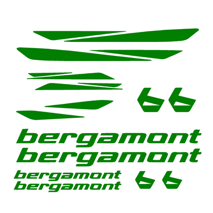 Bergamont Bicycle Stickers and Graphics for Cycle Body Mountain Bike Racing Combo Vinyl Die-Cut Decals